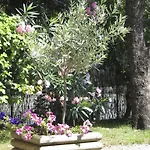 Apartamento Dans St Raphael *