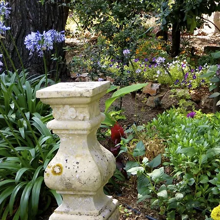 Apartmán Dans St Raphael