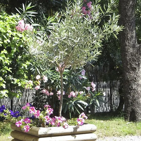 アパート Dans St Raphael *