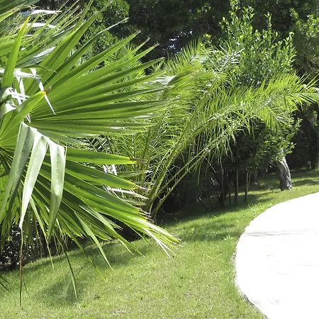 Dans St Raphael * Saint-Raphaël