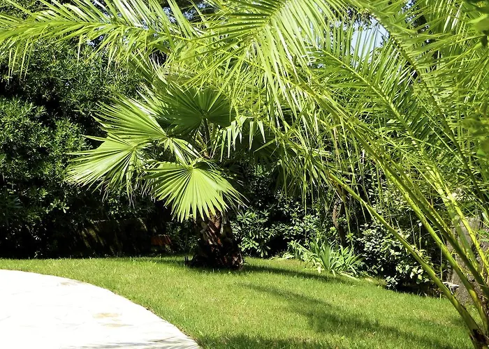 Apartamento Dans St Raphael Saint-Raphaël