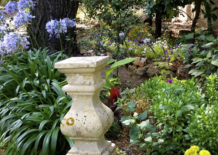 Apartment Dans St Raphael