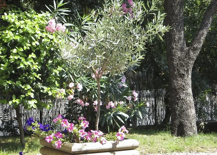 Apartamento Dans St Raphael *