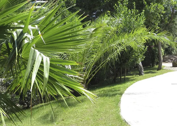 Dans St Raphael * Saint-Raphael (Var)